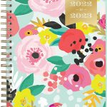 Day Designer for Blue Sky 2022-2023 Academic Year Weekly & Monthly Planner, 8.5" x 11", Frosted Cover, Wirebound, Secret Garden Mint (137896-A23)